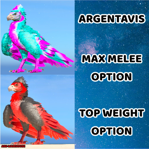 Argentavis coppia adulti - adulti,